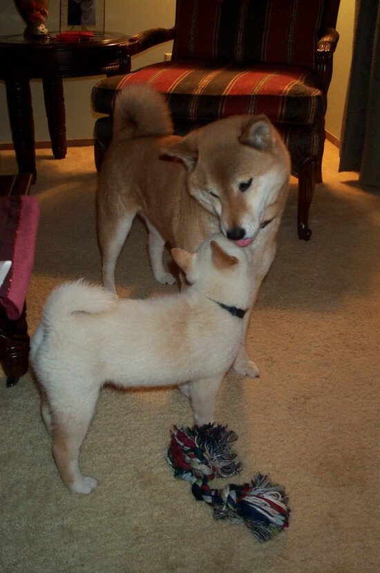 门将脚下技术是否直接影响整队控球稳定性，门将下地