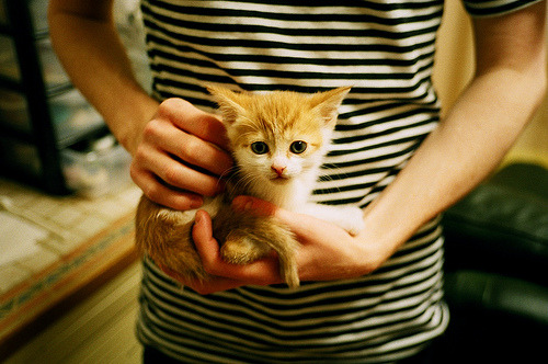 九游登录中心-联赛前十名球队失球数与胜率关系浅析，五大联赛 失球最少记录