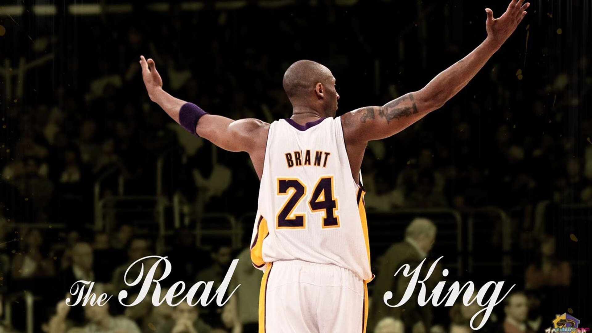 《FIFA》虚拟世界杯，线上线下齐狂欢！，fifa20虚拟球场哪个好